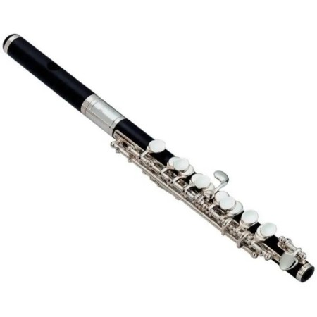 FLAUTIN JUPITER JPC1010 EN ABS Jupiter - 1