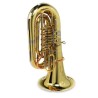 TUBA ST PETERSBURG 209 LD LACQUERED St Petersburg - 4