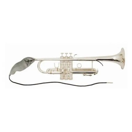 LIMPIADOR BG A31T BG - 1