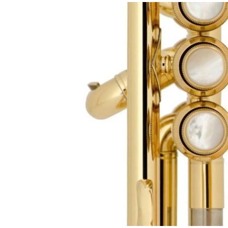 BACH TRUMPET LT190 ML1B L COMMERCIAL IN SIb Bach - 3
