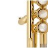 TROMPETA BACH LT190 ML1B L COMMERCIAL LACADA EN SIB 6