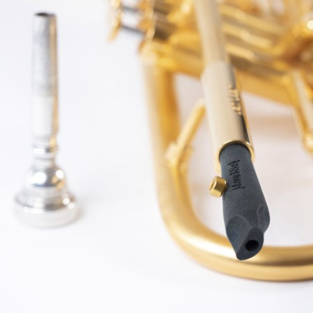 entrenador labial flowstick leto para trompeta | sanganxa.com