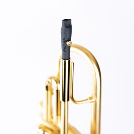 entrenador labial flowstick leto para trompeta | sanganxa.com