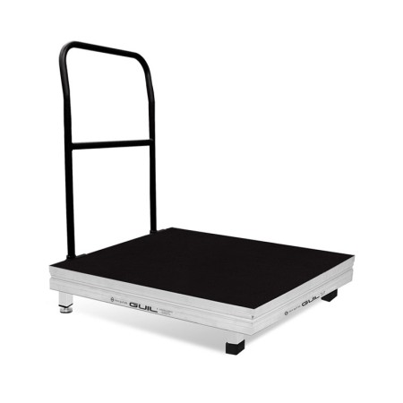 PLATAFORMA DO DIRECTOR-GERAL TMD09