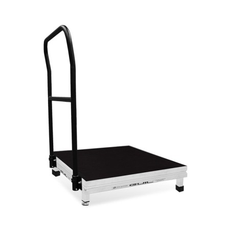 PLATAFORMA DO DIRECTOR-GERAL TMD09