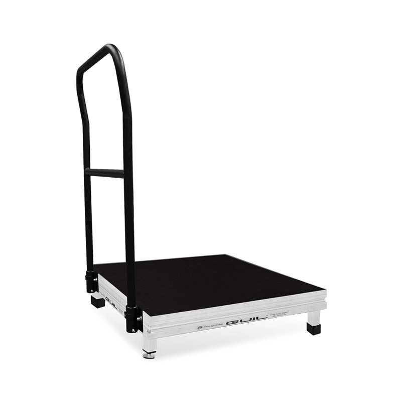 PLATAFORMA DO DIRECTOR-GERAL TMD09