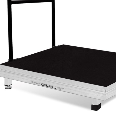 PLATAFORMA DO DIRECTOR-GERAL TMD09