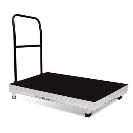 PLATAFORMA DO DIRECTOR GUIL TMD10