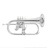 flugelhorn bach fh 501S pistons silver | sanganxa music store
