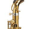 Saxofone Alto Selmer Supreme DGG Goldmessing ? Sanganxa.com