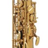 Saxofone alto Selmer Supreme BGG GO Matte - Sanganxa.com