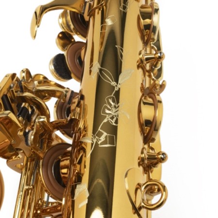 Saxofone Alto Selmer Supreme NG GO Preto - Sanganxa.com