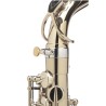 Saxofone Alto Selmer Supreme PAO Passivado - Sanganxa.com