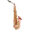 Saxofone Alto Buffet Senzo Vermelho Cobre - Sanganxa.com