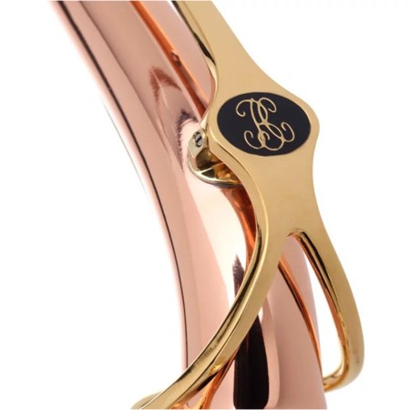 Saxofone Alto Buffet Senzo Vermelho Cobre - Sanganxa.com