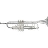 TROMPETA BACH 190 37 S "50 Aniversario Elkhart" EN SIb Bach - 1