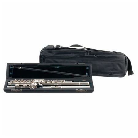 Altus1107 Flauta SRBE, um som diferente e especial - Sanganxa.com