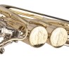Trombone Baixo Adams TBB1 Hagmann Yellow Brass - Sanganxa.com