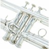Trompete Adams A3 A3 Modelo Selecionado 0.60 Prateado - Sanganxa.com