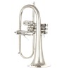 adams sonic flugelhorn prateado com campânula 160