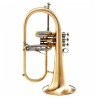 FLUGELHORN ADAMS F2 MODELO SELECCIONADO ESCOVA DE LATÃO DOURADO