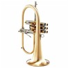 Flugelhorn Adams F2 Modelo selecionado Latão dourado escovado - Sanganxa.com