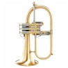 Flugelhorn Adams F2 Modelo selecionado Latão dourado escovado - Sanganxa.com