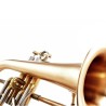 FLISCORNO ADAMS F2 SELECTED MODEL GOLDBRASS BRUSHED 8