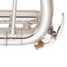 Trompete em Dó Yamaha YTR-8445 S Xeno Silverplated - Sanganxa.com