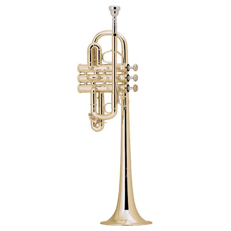 Trompete Bach 189L 239/25E Lacado Eb/E - Sanganxa.com