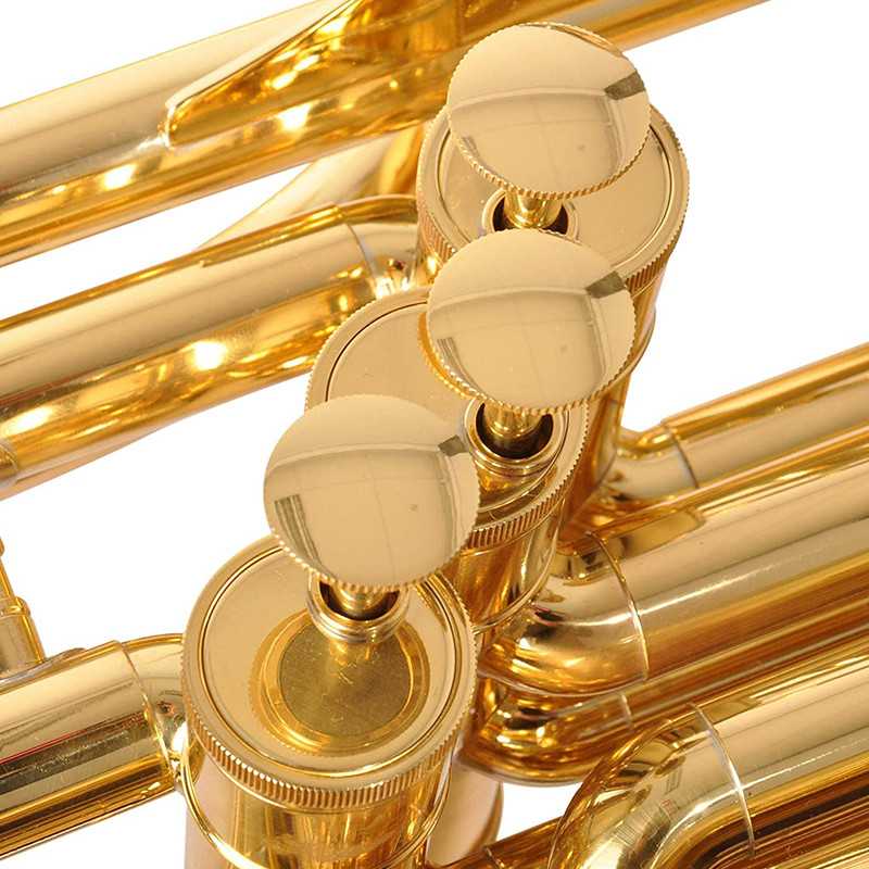 Sousaphone Adams en Sib Lacado MPS1