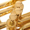 SOUSAPHONE ADAMS MSP1 EN SIB LACADO - 4