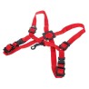 ARNES SAXO BG ROJO NIÑO S429SH  - 6