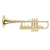 TRUMPET ADAMS C1XL 0.55 LACQUERED GOLDMESSING IN C Adams - 3