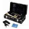 Flugelhorn Yamaha YFH-8310 ZG Lacado - Sanganxa.com