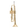 TROMPETE BACH 180GML 43/25 GOLDMESSING