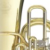 TUBA B&S PT9 3100 L LACADA EN FA  - 4