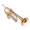 JUPITER TRUMPET JTR700 RQ LACQUERED IN SIb Jupiter - 1
