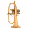 Flugelhorn Adams F2 Goldmessing Satin Lacquer - Sanganxa.com