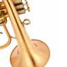 Flugelhorn Adams F2 Goldmessing Satin Lacquer - Sanganxa.com