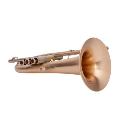 flugelhorn adams f2 custom series redbrass nickel