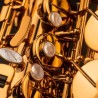 Saxo Alto Selmer Signature Lacado - Sanganxa.com