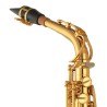 Saxofone Alto Yamaha YAS-875EX ?Sanganxa Distribuidor Shokunin Select Yamaha