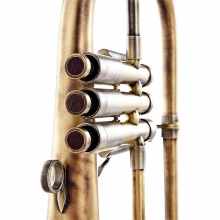 Flugelhorn Adams F2 Custom Series Goldbrass Antique -Sanganxa.com