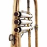 Fliscorno Adams F2 Custom Series Goldbrass Antique -Sanganxa.com