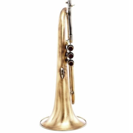 Flugelhorn Adams F2 Custom Series Goldbrass Antique -Sanganxa.com