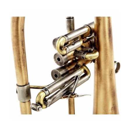 Flugelhorn Adams F2 Custom Series Goldbrass Antique -Sanganxa.com