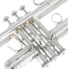 Trompeta Bach 180 43R Stradivarius Plateada -sanganxa.com