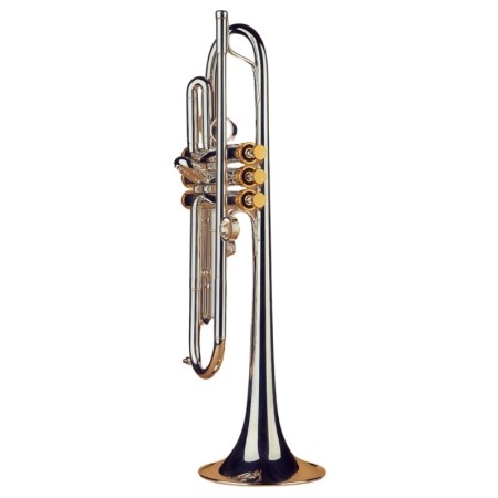 Trompeta Instruvents Arocha Plateada Sib - sanganxa.com