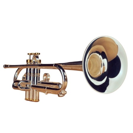 Trompete Instruvents Arocha Prateado Bb -  sanganxa.com